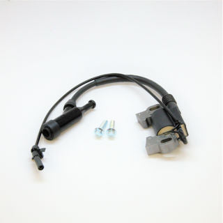 Viper Engine (26768) - Kit - Ignition Coil & Hardware R300 Carb