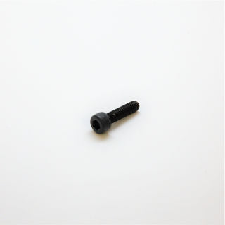 Earthquake (S1010) - Bolt 5mm X .8 X 20mm Shcs