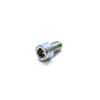Earthquake (34587) - Screw M6X1.0X10 mm Shsd Gr8.8 ZN F-T