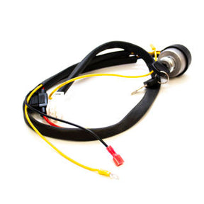 Earthquake (35872) 28963 - Wiring Harness Rough Cut Soldered Switch