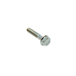 Viper Engine (30148) - Bolt M6X1.0X30 Hhf M10 Hex Gr8.8 Zn F-T