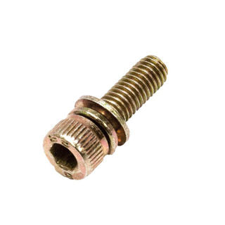 Earthquake (W1200123) - Bolt M5-.8 X 16 Sch Gr8.8 Bl