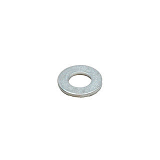 Earthquake (331036) - Washer Flat 10X22X2