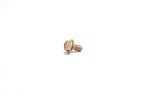 Earthquake (31564) - Bolt M5-0.8X10 mm Hsf Gr8.8 ZN