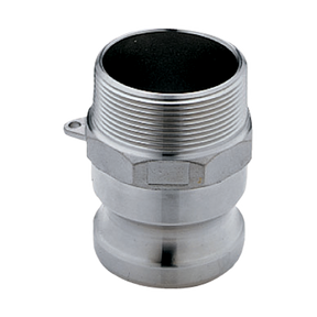 CA4800000 (Banjo) Adapter-3/4 M X Mpt Ss