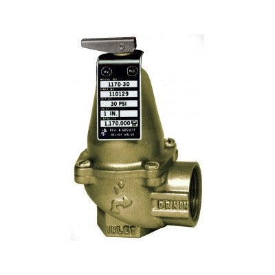 110129 (Bell & Gossett) | 1170-30 30# Relief Valve