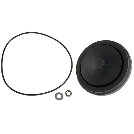 905468 (Febco) | RK 850-886V-D 6 Lead Free | 1st or 2nd Check Disc Assembly Kit