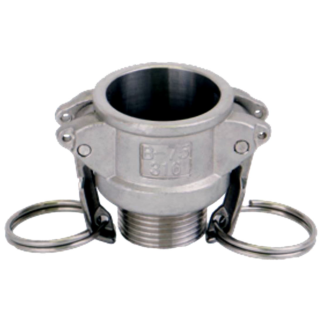 CA4004000 (Banjo) Coupling-Cam Lev 2 F X 2 Mpt Ss