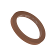 200GV (Banjo) Gasket-2 Fkm Viton