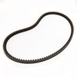Earthquake (22694) 18036 - Belt V 4L 12 X 876 Tooth
