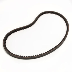 Earthquake (22694) 18036 - Belt V 4L 12 X 876 Tooth