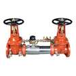 0122717 (Watts) | 6 LF757DCDA-OSY-GPM | Lead Free | Flanged X Flanged
