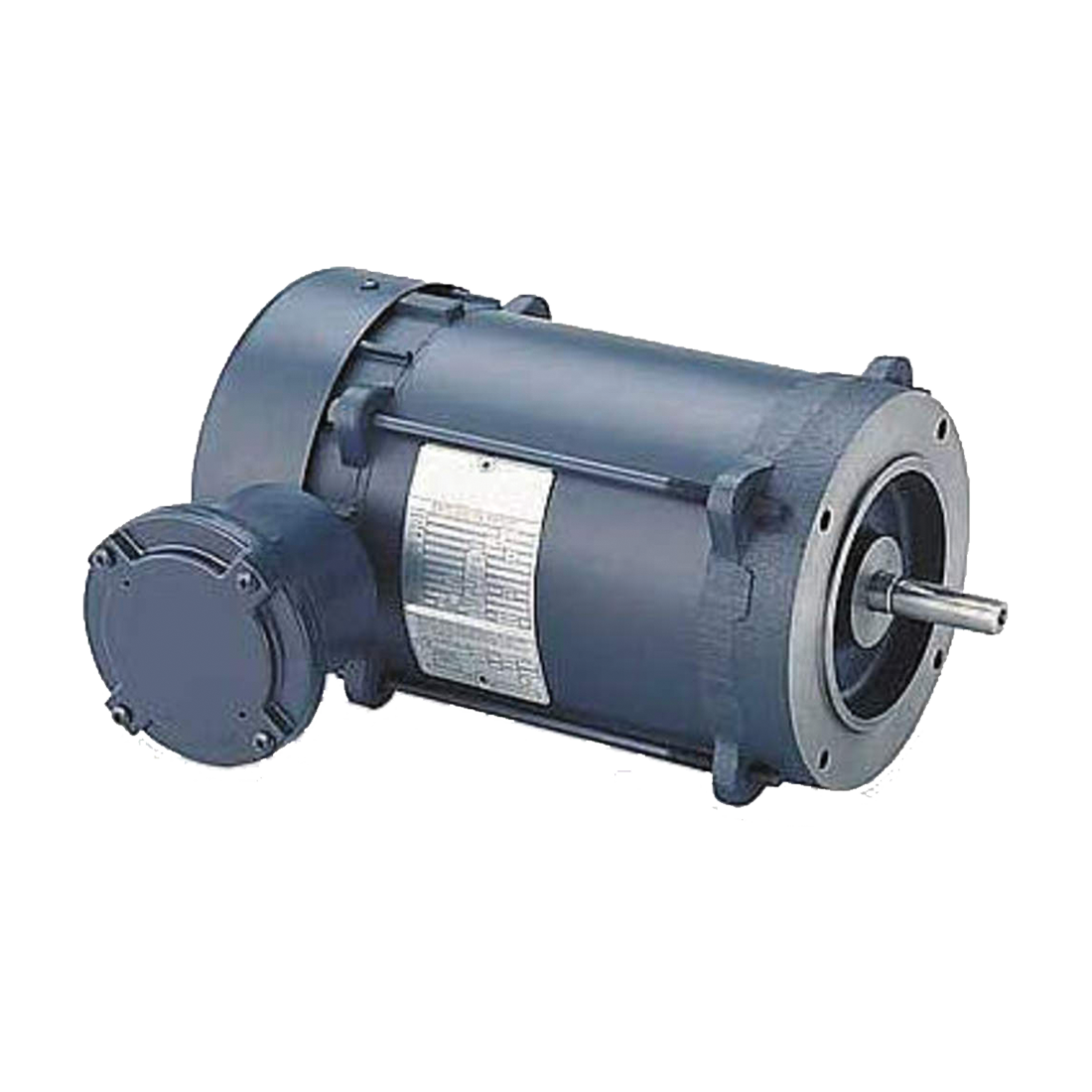 929982 (Blackmer) Motor-1.5Hp 1Ph 1725 Rpm 56C 5/8 Xp