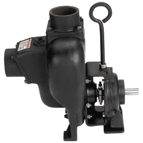 300PBI (Banjo) Pump-3 Ci Bearng Ped 1 Shaft