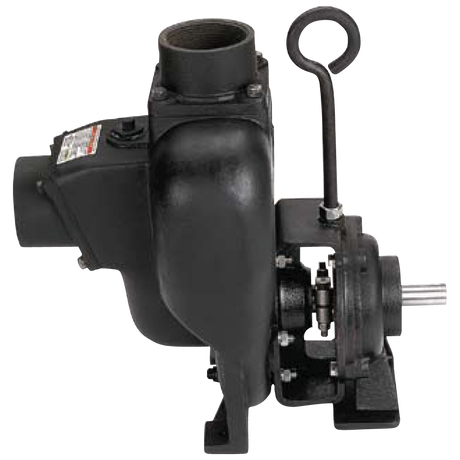 300PBI (Banjo) Pump-3 Ci Bearng Ped 1 Shaft