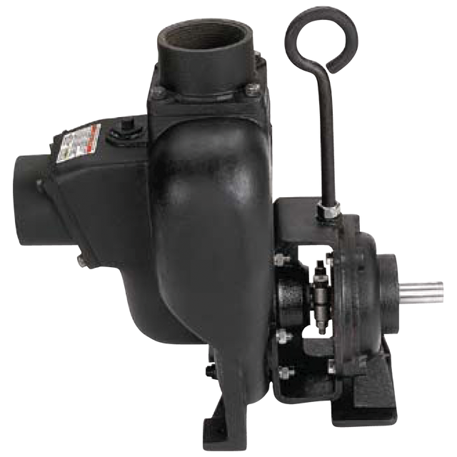 300PBI (Banjo) Pump-3 Ci Bearng Ped 1 Shaft
