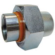 301-303 (Legend Valve) Union-Dielectric 1/2Fpt Galvanized