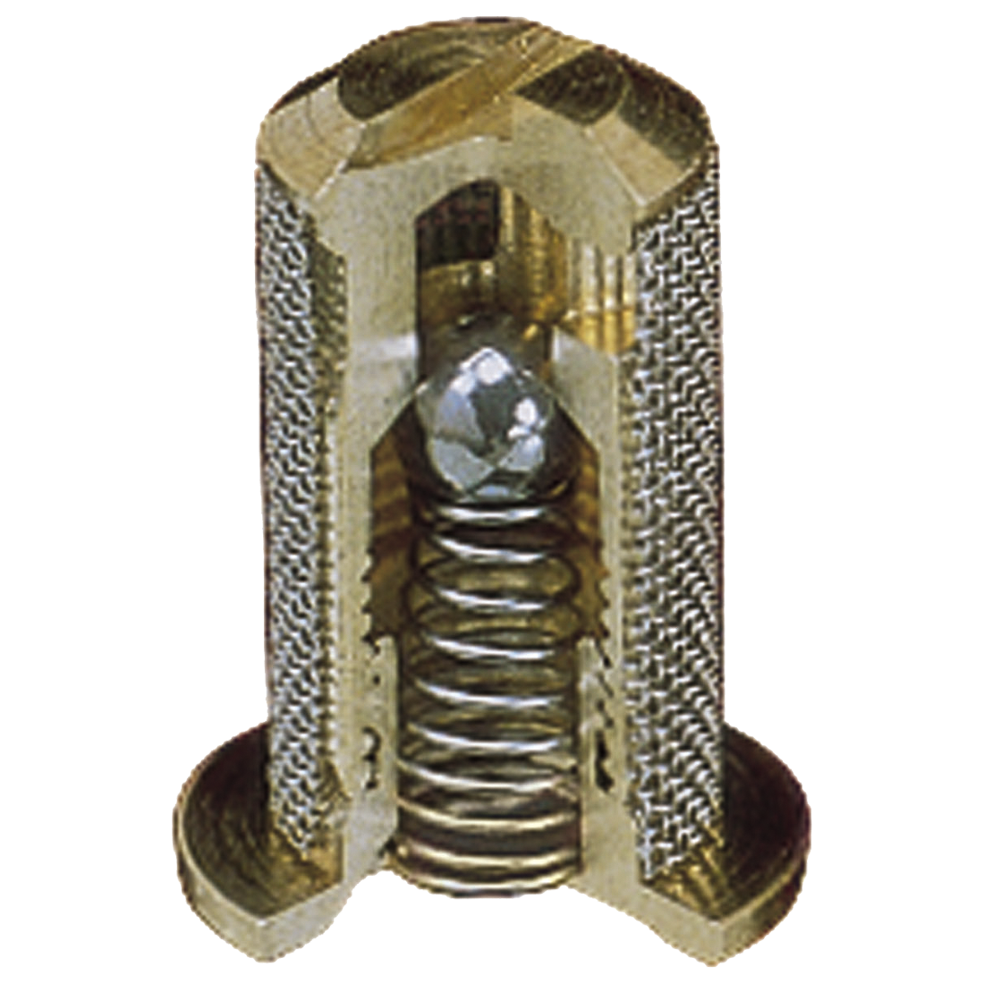 4193B-PP-5-50SS (TeeJet) Strainer-Ck Vlv Ply 50Msh 5Psi Ss Fkm Bl