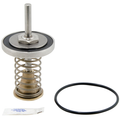 0794101 (Watts) | RK 909 CK2 2-1/2 3 LF Lead Free | 2nd Check Kit