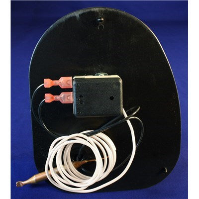 633900102 (Weil-Mclain) | Thermostat