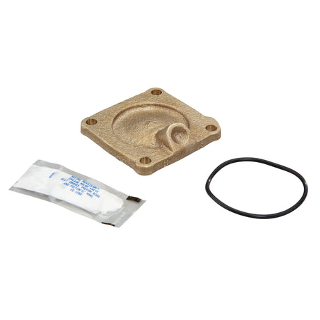 0794073 (Watts) | RK 909 C2 3/4 to 1 LF Lead Free | 2nd Check Cover Kit