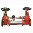 0191237 (Ames-Deringer) | 3 C300-OSY-G | No | Flanged X Flanged