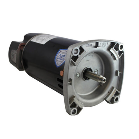 ASQ165 (US Motors/Nidec) | Pool and Spa Pump Motor | 1.65 HP | 1 Phase | ODP | 3450 RPM | 115/230 Volts