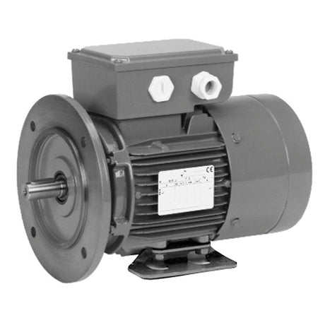 BR13S2AC3 (US Motors/Nidec) | Brake Motor | 0.33 HP | 3 Phase | TEFC | 1740 RPM | 208-230/460 Volts