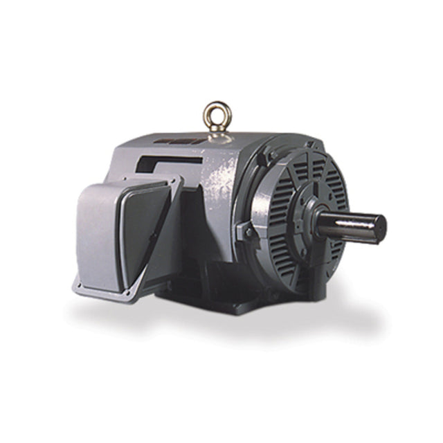 DHP0024FP (Teco) | Fire Pump Motor | 2 HP | 3 Phase | ODP | 1800 RPM | 230/460 Volts