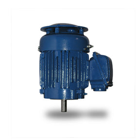 HBV0604P (Teco) | IEEE 841 Motor | 60 HP | 3 Phase | TEFC | 1800 RPM | 460 Volts