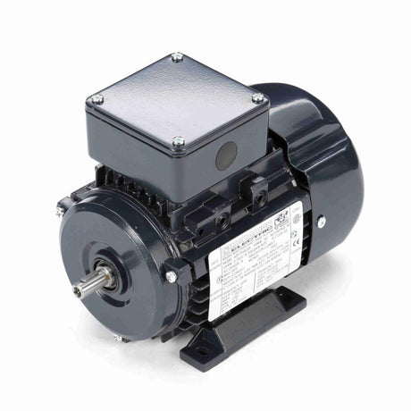 MR301 (Marathon) | IEC Motor | 0.25 HP | 3 Phase | TEFC | 1700 RPM | 230/460 Volts