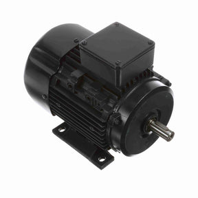 MR310 (Marathon) | IEC Motor | 0.75 HP | 3 Phase | TEFC | 1690 RPM | 230/460 Volts