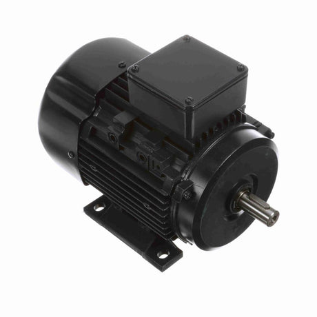 MR310 (Marathon) | IEC Motor | 0.75 HP | 3 Phase | TEFC | 1690 RPM | 230/460 Volts