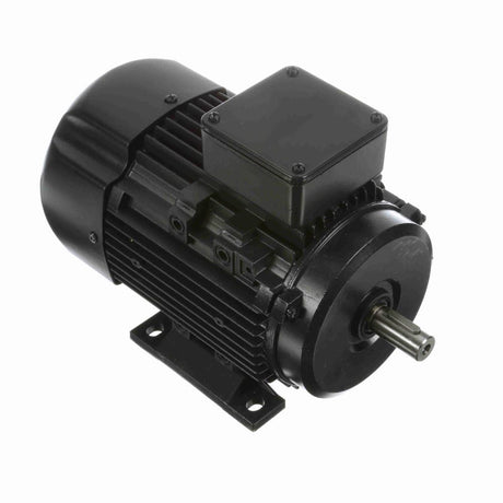 MR313A (Marathon) | IEC Motor | 1 HP | 3 Phase | TEFC | 1740 RPM | 230/460 Volts
