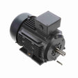 MR317 (Marathon) | General Purpose Motor | 1.5 HP | 3 Phase | TEFC | 1175 RPM | 230/460 Volts