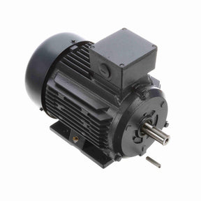 MR317 (Marathon) | General Purpose Motor | 1.5 HP | 3 Phase | TEFC | 1175 RPM | 230/460 Volts