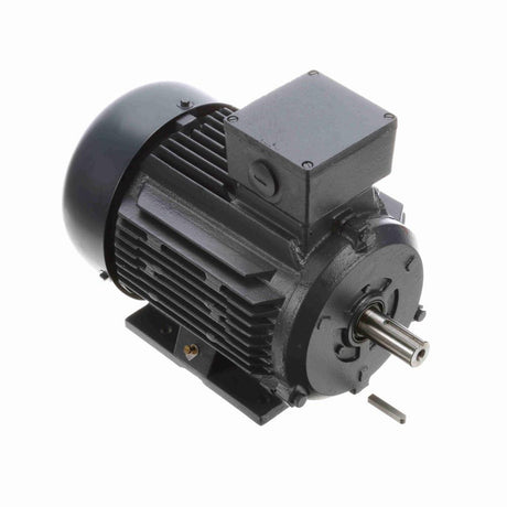 MR317 (Marathon) | General Purpose Motor | 1.5 HP | 3 Phase | TEFC | 1175 RPM | 230/460 Volts