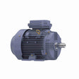 MR331B (Marathon) | General Purpose Motor | 10 HP | 3 Phase | TEFC | 1775 RPM | 230/460 Volts