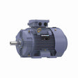 MR333B (Marathon) | General Purpose Motor | 15 HP | 3 Phase | TEFC | 3550 RPM | 230/460 Volts