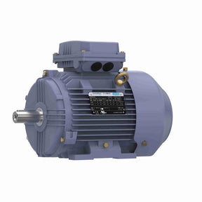 MR351B (Marathon) | General Purpose Motor | 4 HP | 3 Phase | TEFC | 3499 RPM | 230/460 Volts