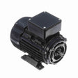 MR361 (Marathon) | IEC Motor | 0.25 HP | 3 Phase | TEFC | 1700 RPM | 230/460 Volts