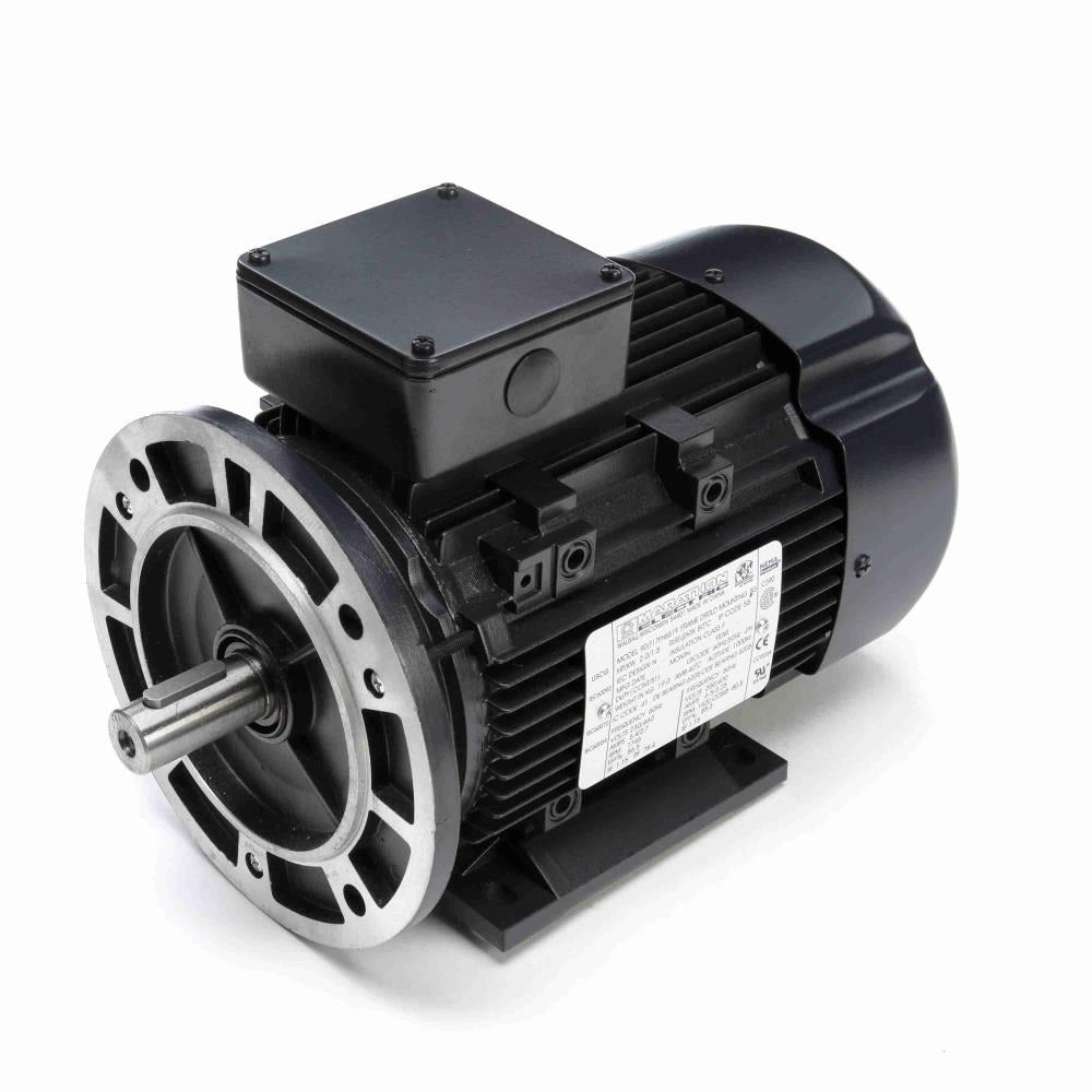 MR398A (Marathon) | IEC Motor | 2 HP | 3 Phase | TEFC | 1745 RPM | 230/460 Volts
