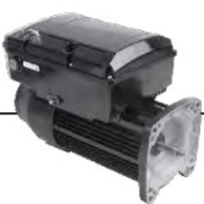 NPTQ225 (US Motors/Nidec) | Pool and Spa Pump Motor | 2.25 HP | 1 Phase | TEFC | 3450 RPM | 230 Volts