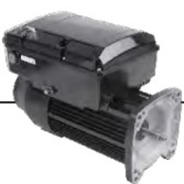 NPTQ225 (US Motors/Nidec) | Pool and Spa Pump Motor | 2.25 HP | 1 Phase | TEFC | 3450 RPM | 230 Volts