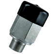110755 (Squibb Taylor) Valve-Relief 3/4 265Psi