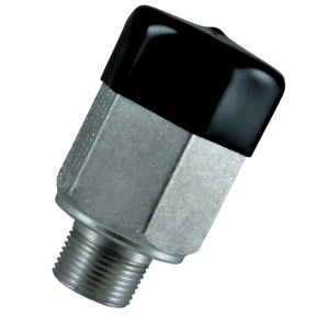 110755 (Squibb Taylor) Valve-Relief 3/4 265Psi