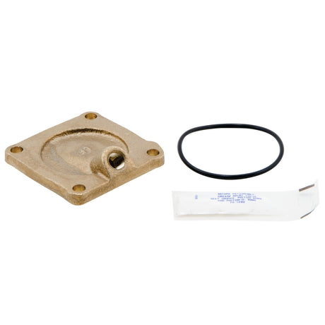 0794072 (Watts) | RK 909 C1 3/4 to 1 LF Lead Free | 1st Check Cover Kit