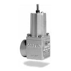 B166B-1CAU(Y) (Corken) 1 Fpt Differential Pressure