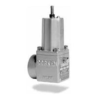 B166B-1CAU(Y) (Corken) 1 Fpt Differential Pressure