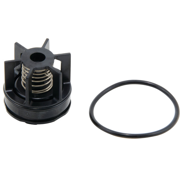 0888551 (Watts) | RK 007 M3 CK2 3/4 | 2nd Check Repair Kit